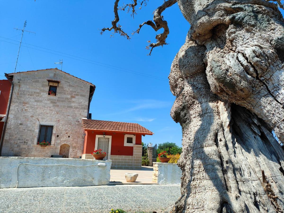 Donna Isabella Bed & Breakfast Conversano Exterior photo